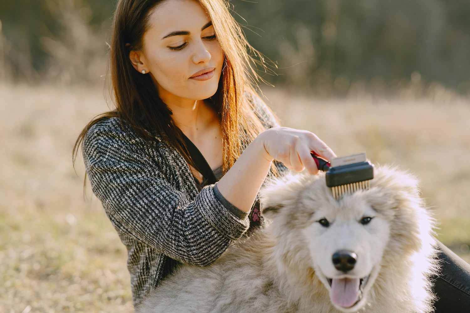 Pet Care