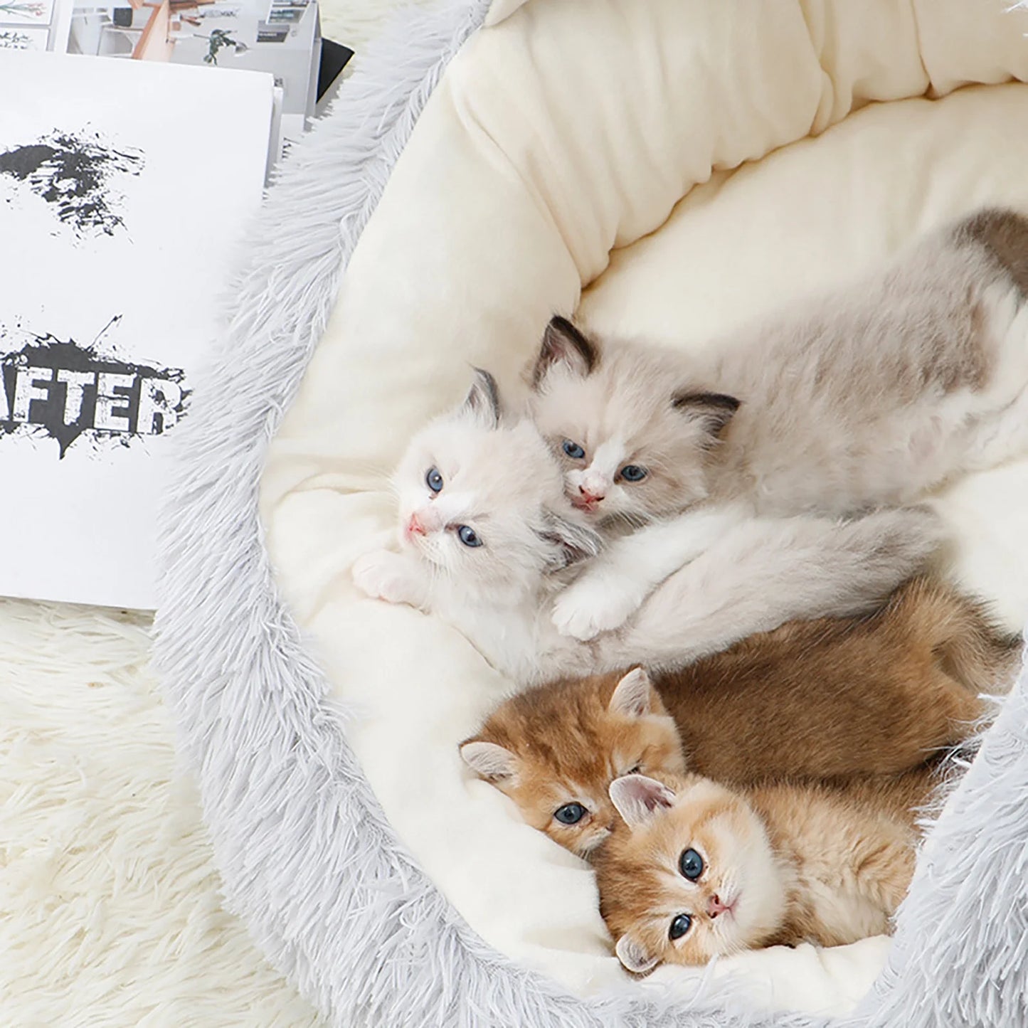 Dog Bed & Cat Cave Bed with Hooded Cover