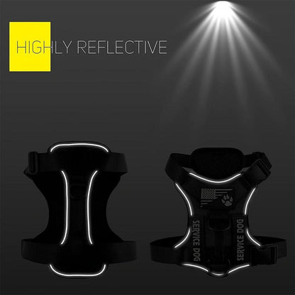 Dog Harness with Leash