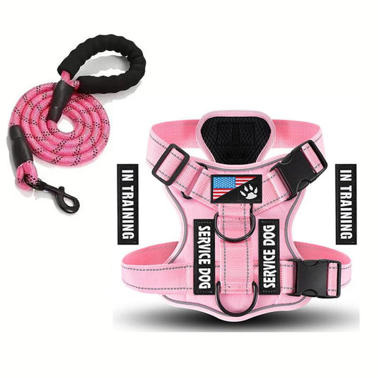 Dog Harness with Leash