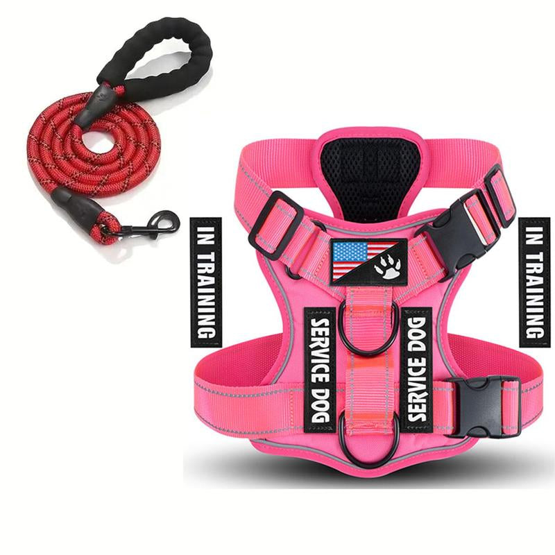Dog Harness with Leash