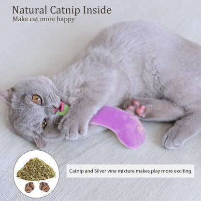 Catnip Toys