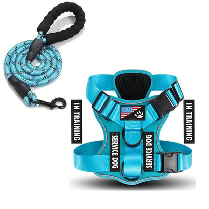 Dog Harness with Leash