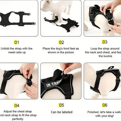 Dog Harness with Leash